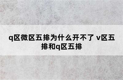 q区微区五排为什么开不了 v区五排和q区五排